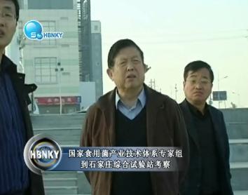 凯发官网首页