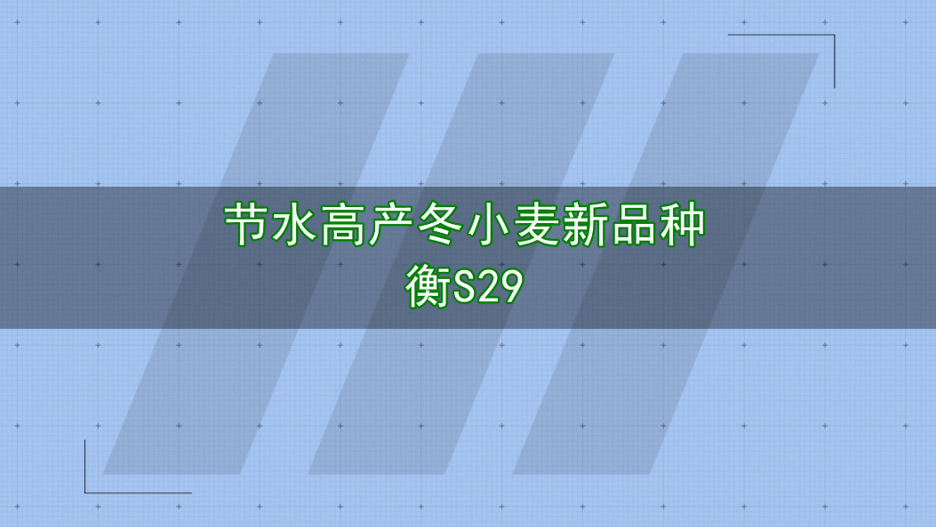 凯发官网首页