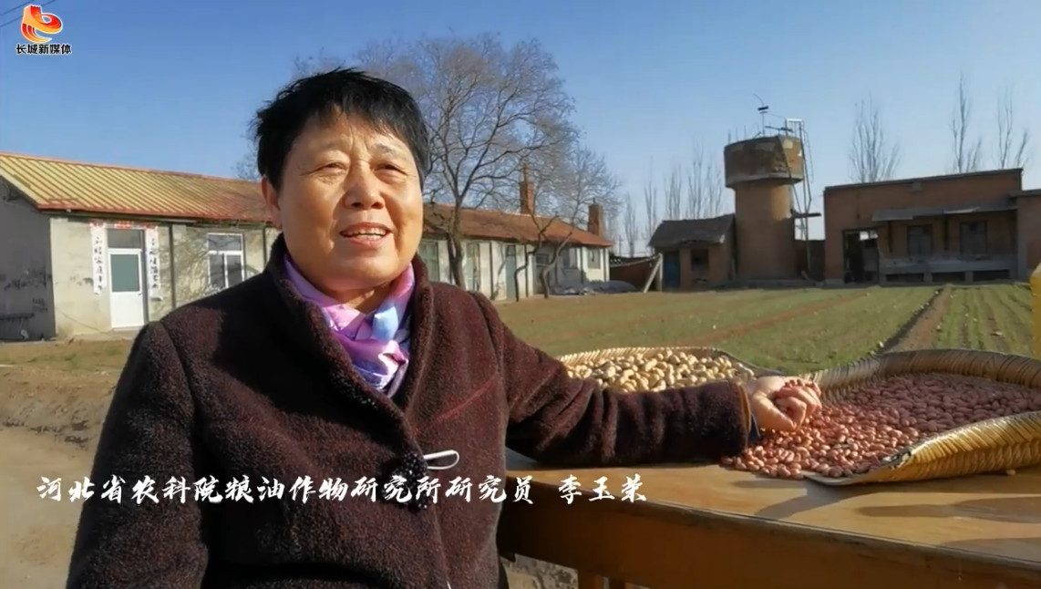 凯发官网首页