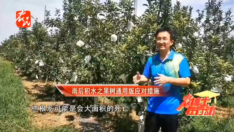 凯发官网首页