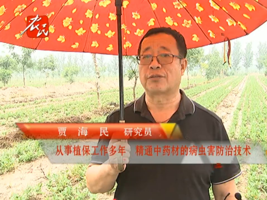 凯发官网首页