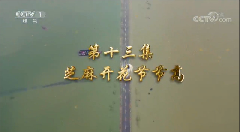 凯发官网首页